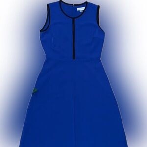 Calvin Klein Blue Fit and Flare Dress